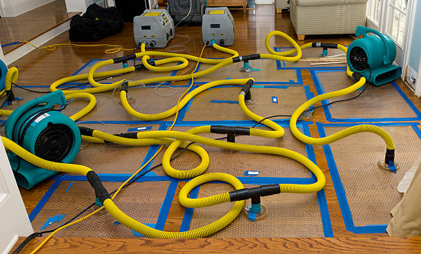 Professional Water Extraction technician working in Los Angeles, CA